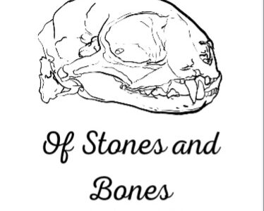 Of Stones and Bones