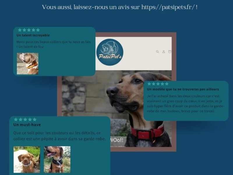 PatsiPetâs