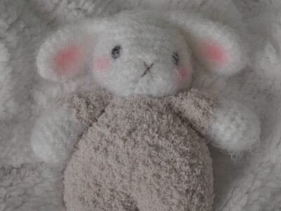 Sage Green Wool ˖°౨ৎ⋆˚