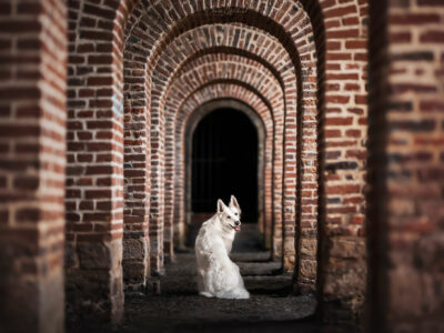 Claire Wichard Photographe