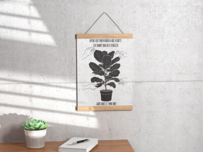Illustrations en toute transparence !