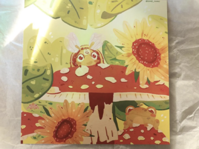 Dame_Fungi