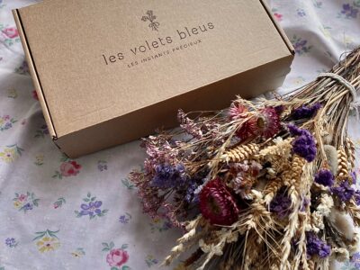 Box Les volets bleus
